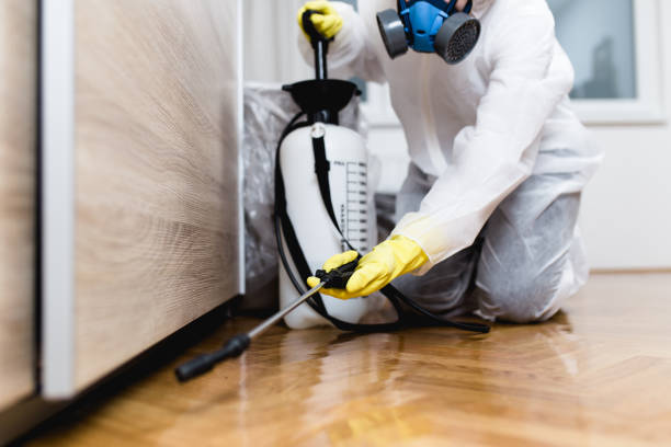 Best Bed Bug Extermination  in Marshfield, WI