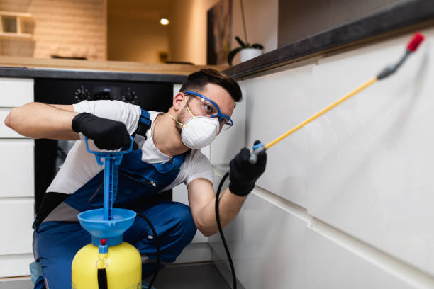 Best Flea Control Services  in Marshfield, WI