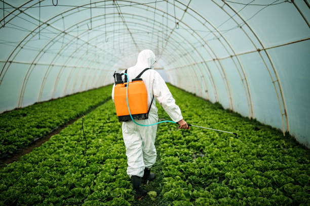Best Mosquito Control Services  in Marshfield, WI