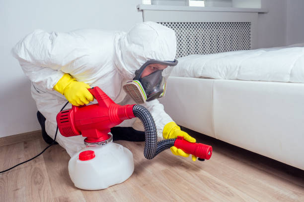 Best Cockroach Control Services  in Marshfield, WI