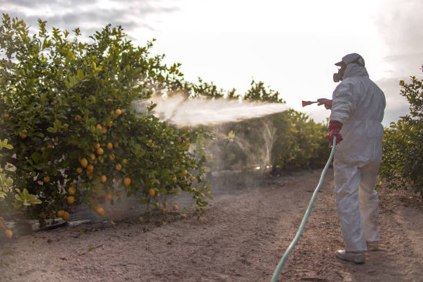 Best Rat Extermination Near Me  in Marshfield, WI