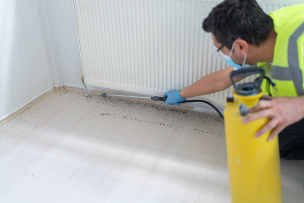 Pest Prevention Services in Marshfield, WI