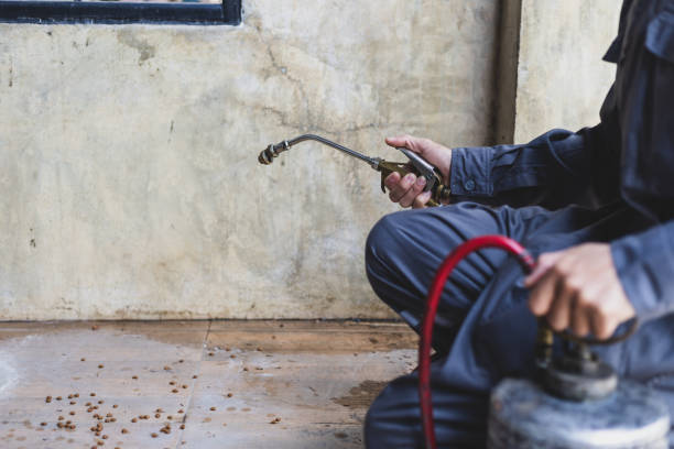 Best Rat Extermination Near Me  in Marshfield, WI
