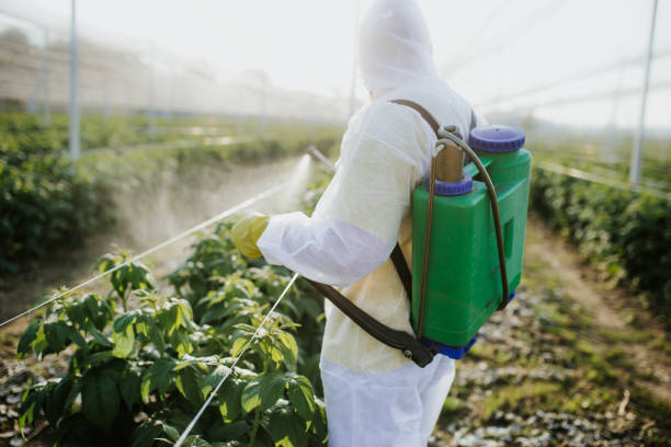Best Commercial Pest Control Services  in Marshfield, WI